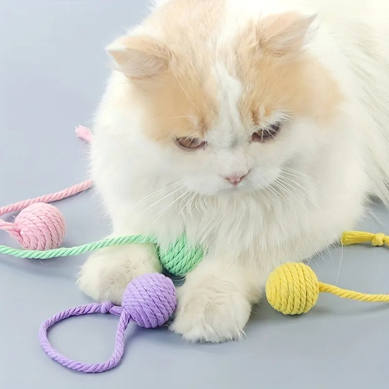 Colourful cat toy ball with a rope and built-in bell for interactive kitten play.