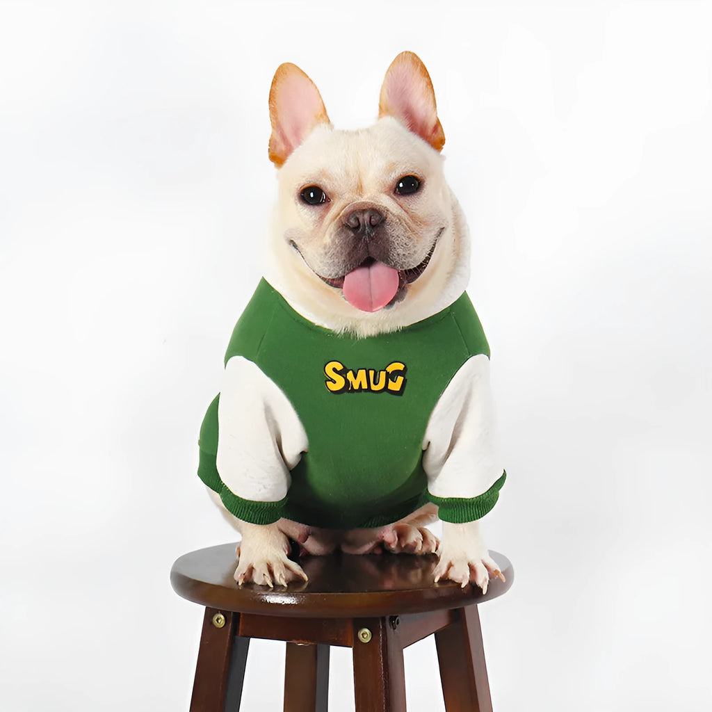 Green cotton dog jumper on a dog, showing autumn winter pet clothing style