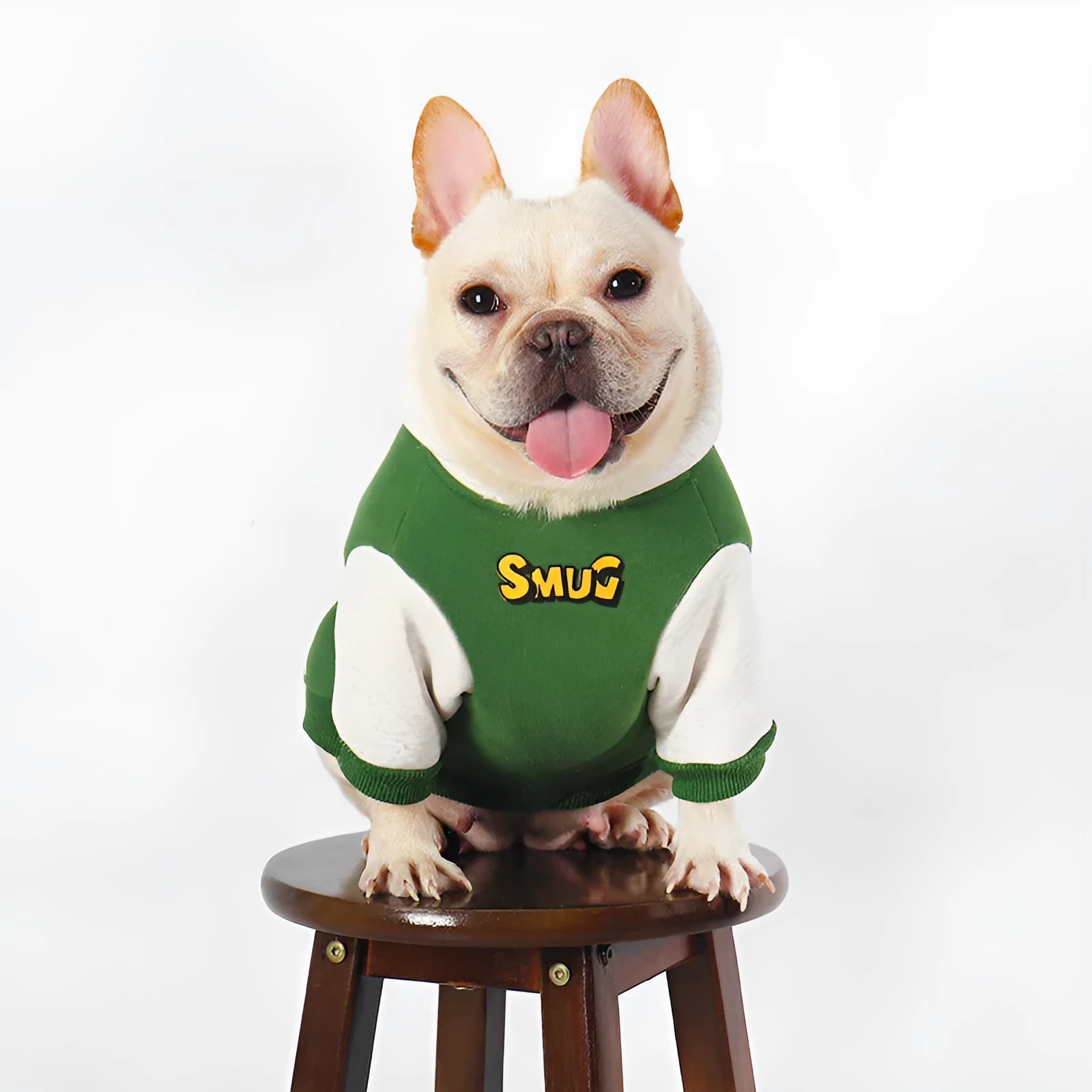 Green cotton dog jumper on a dog, showing autumn winter pet clothing style
