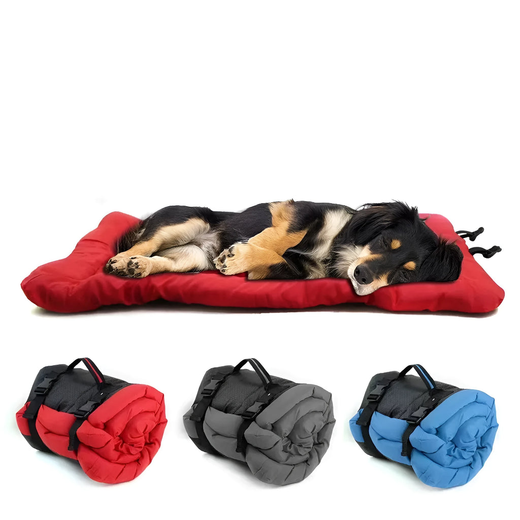 Blue foldable waterproof dog bed with nylon buckles, shown both open and compacted.