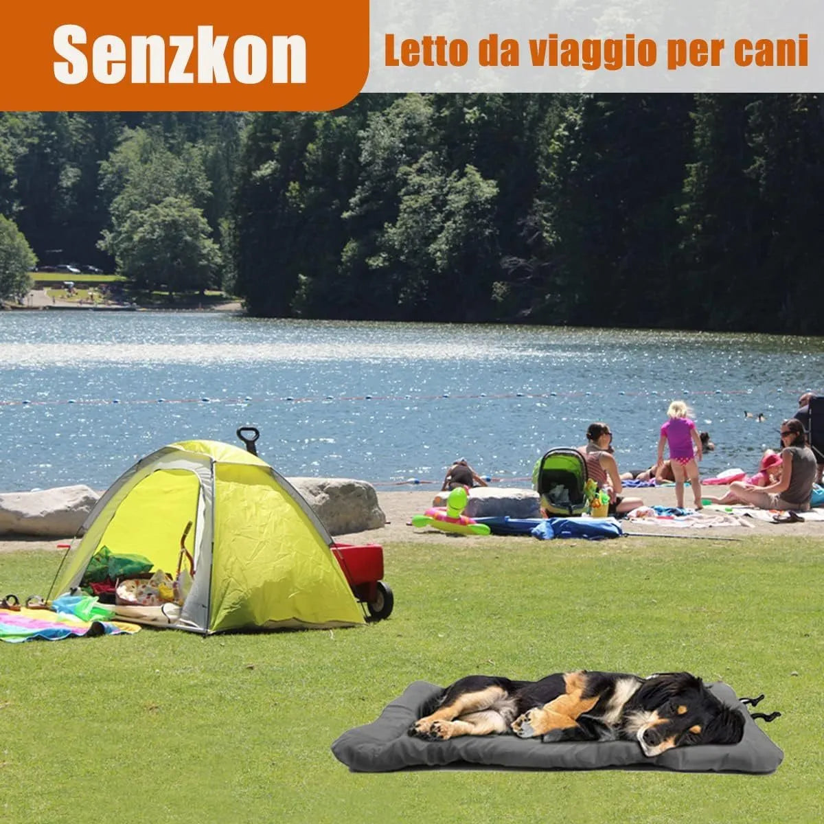 Blue foldable waterproof dog bed with nylon buckles, shown both open and compacted.