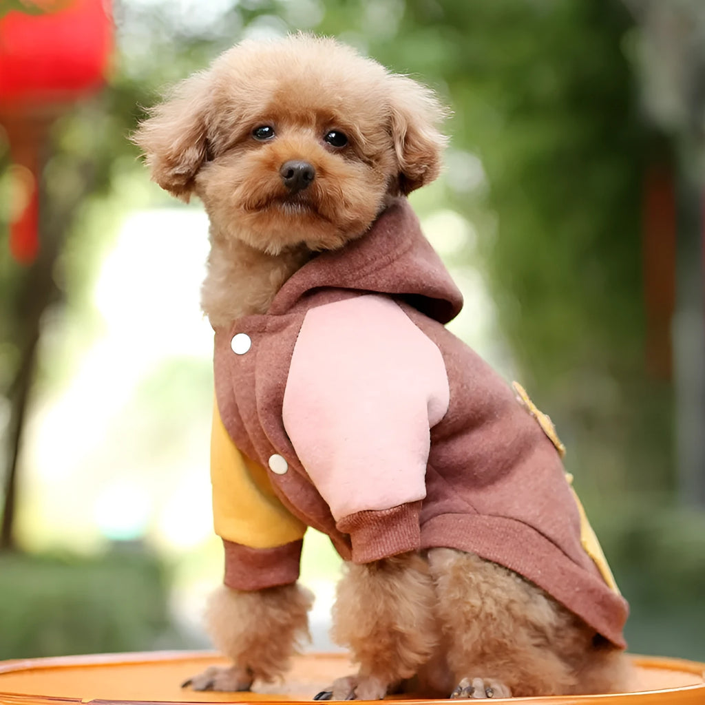 Cotton pet sweatshirt for dogs and cats in brown, green, and pink colours