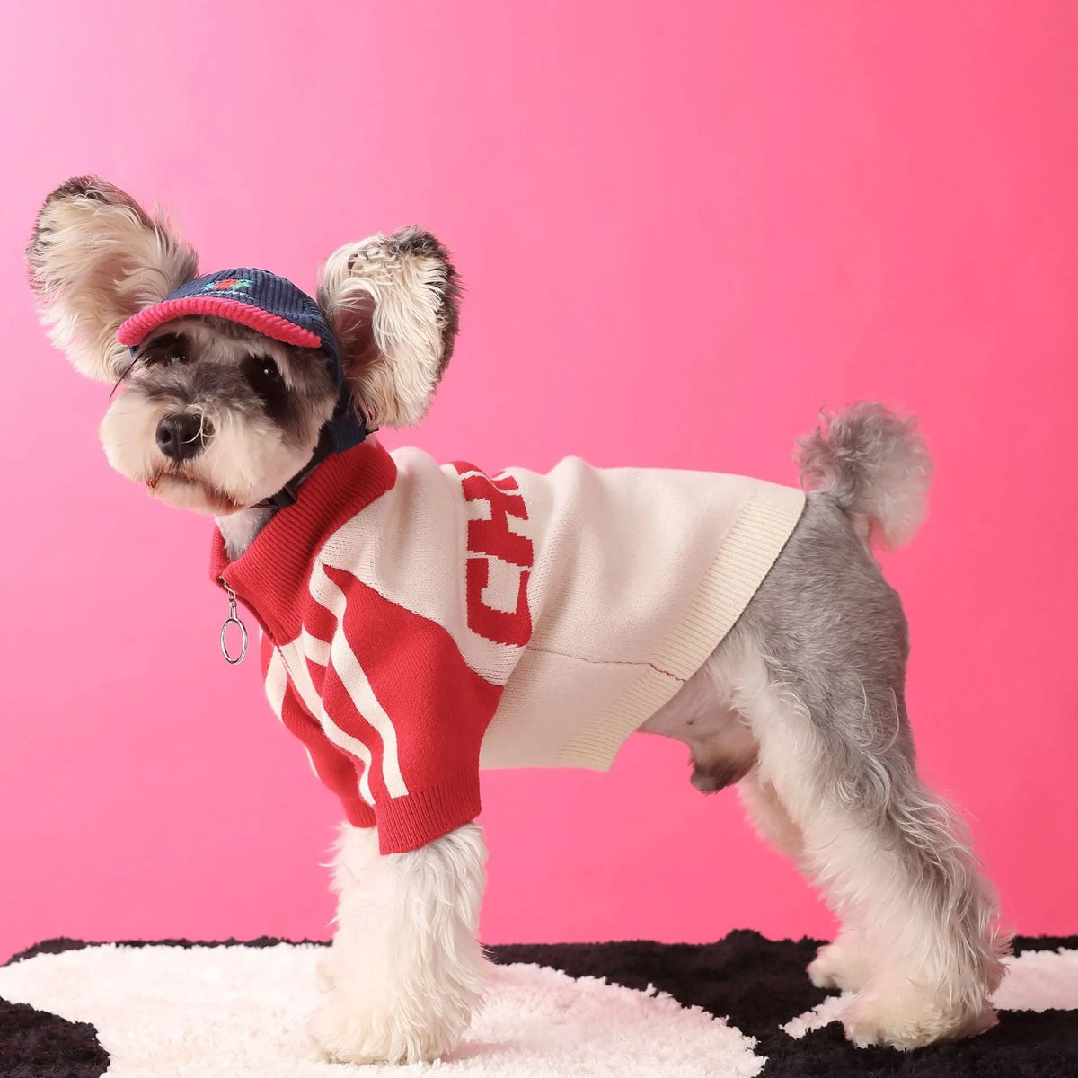 Red wool dog sports sweater cardigan for puppies in casual style