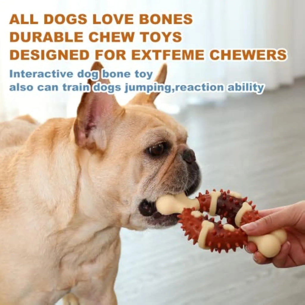 Natural rubber bone-shaped dog molar chew toy for teeth grinding and anxiety relief in two sizes.