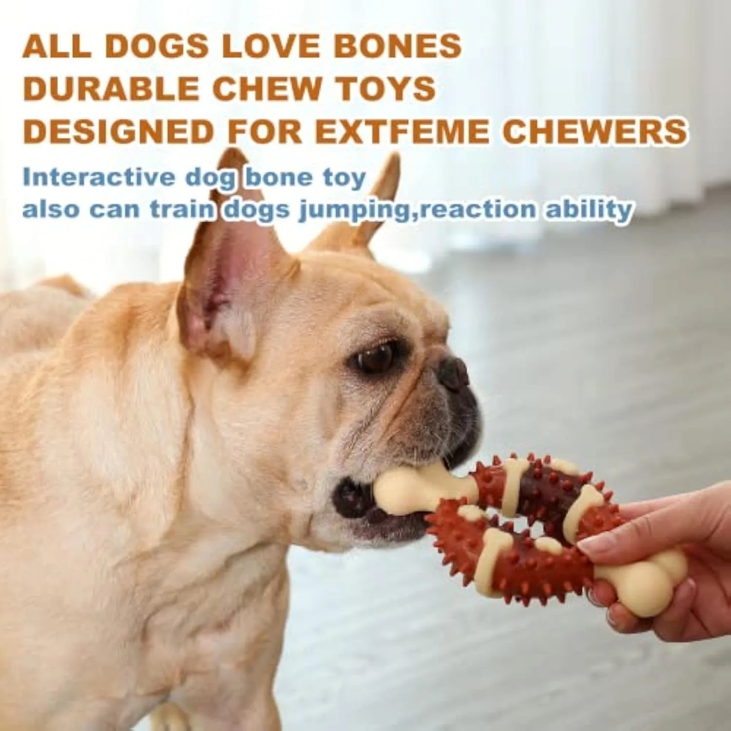 Natural rubber bone-shaped dog molar chew toy for teeth grinding and anxiety relief in two sizes.