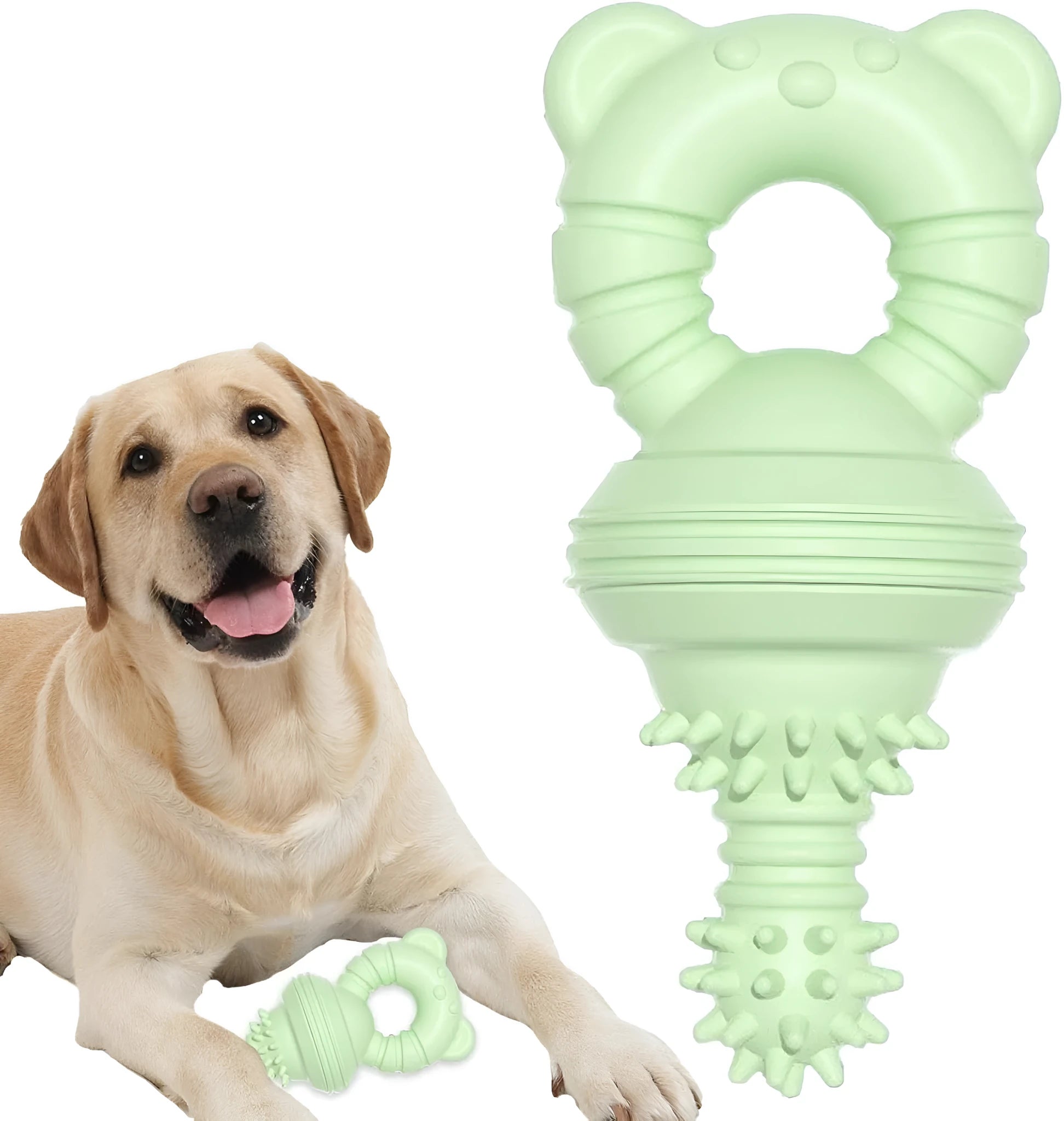 Blue rubber molar-shaped dog chew toy with textured surface and bell inside, for large breeds.