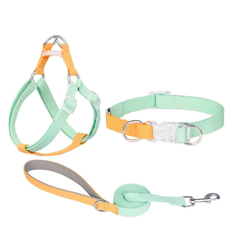 Polyester rib dog collar and lead set in multicolour combination with adjustable sizing