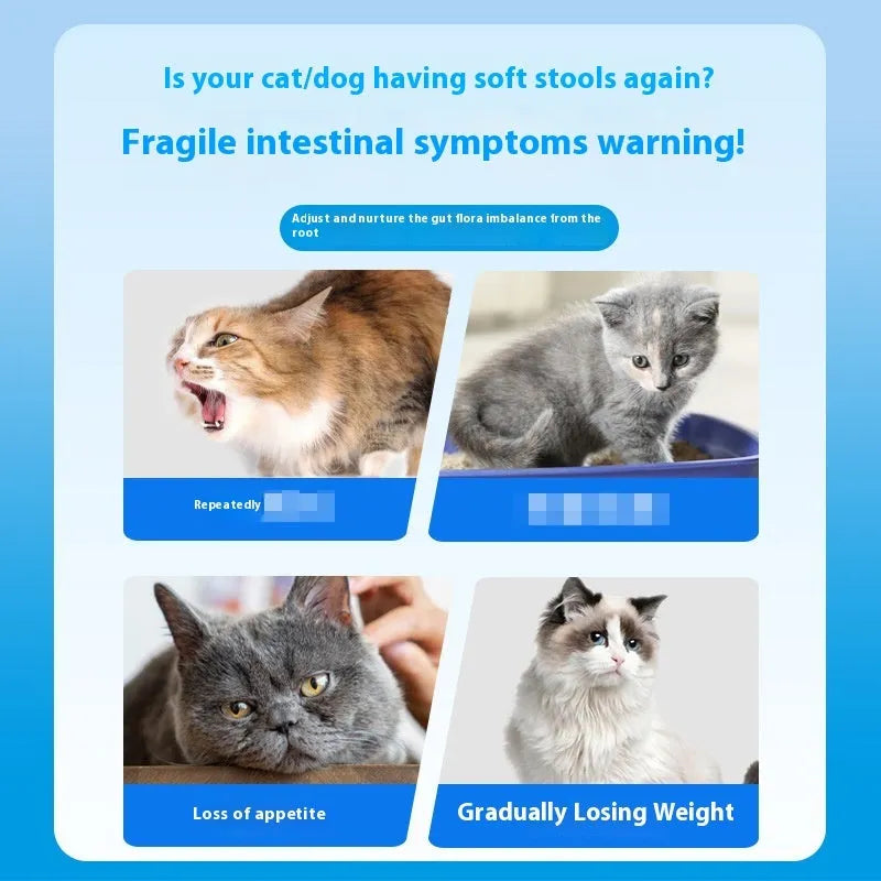 Bottle of pet probiotic chewable tablets containing 180 tablets for dog and cat digestive support.