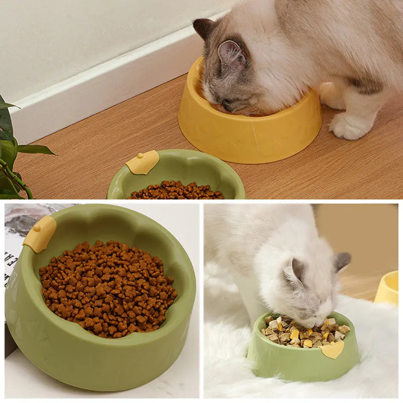 Green plastic flower-shaped double pet bowl for food and water on a white background.