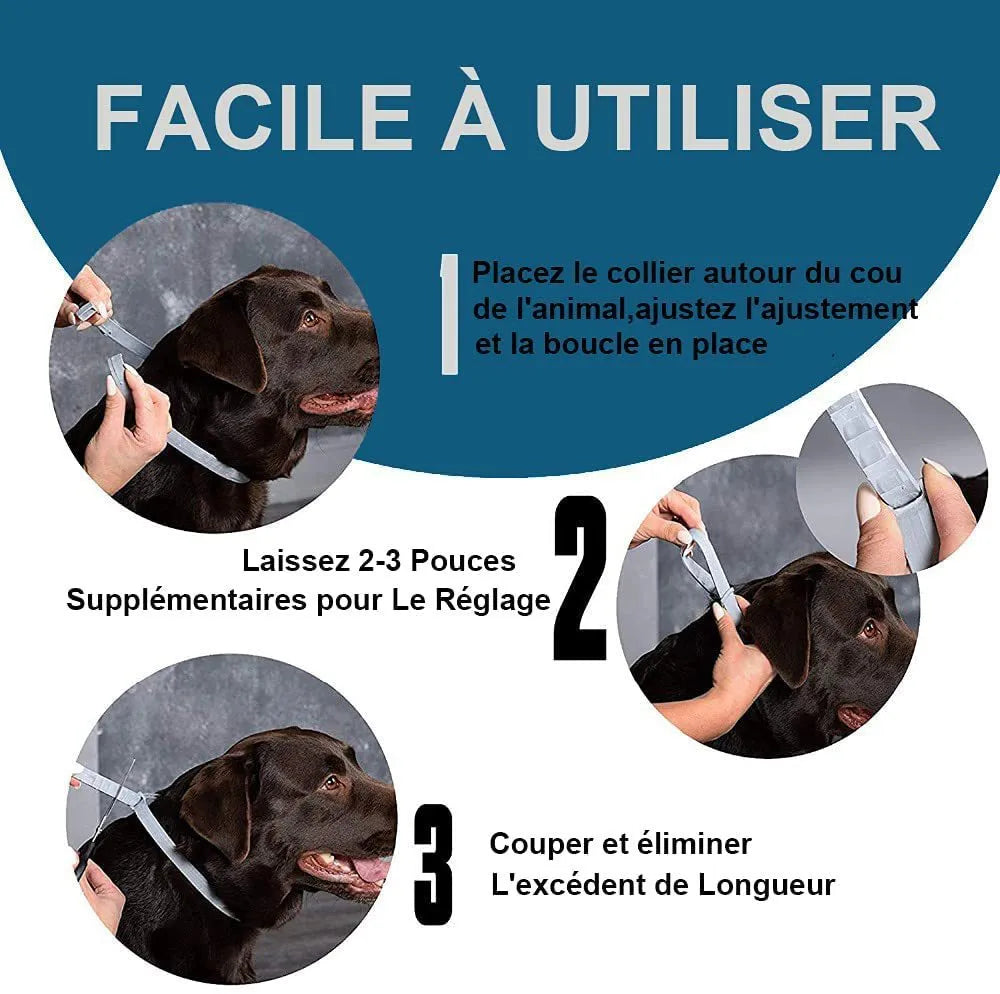 Rainbow-coloured plastic flea collar for cat or dog showing 38cm and 62cm size options