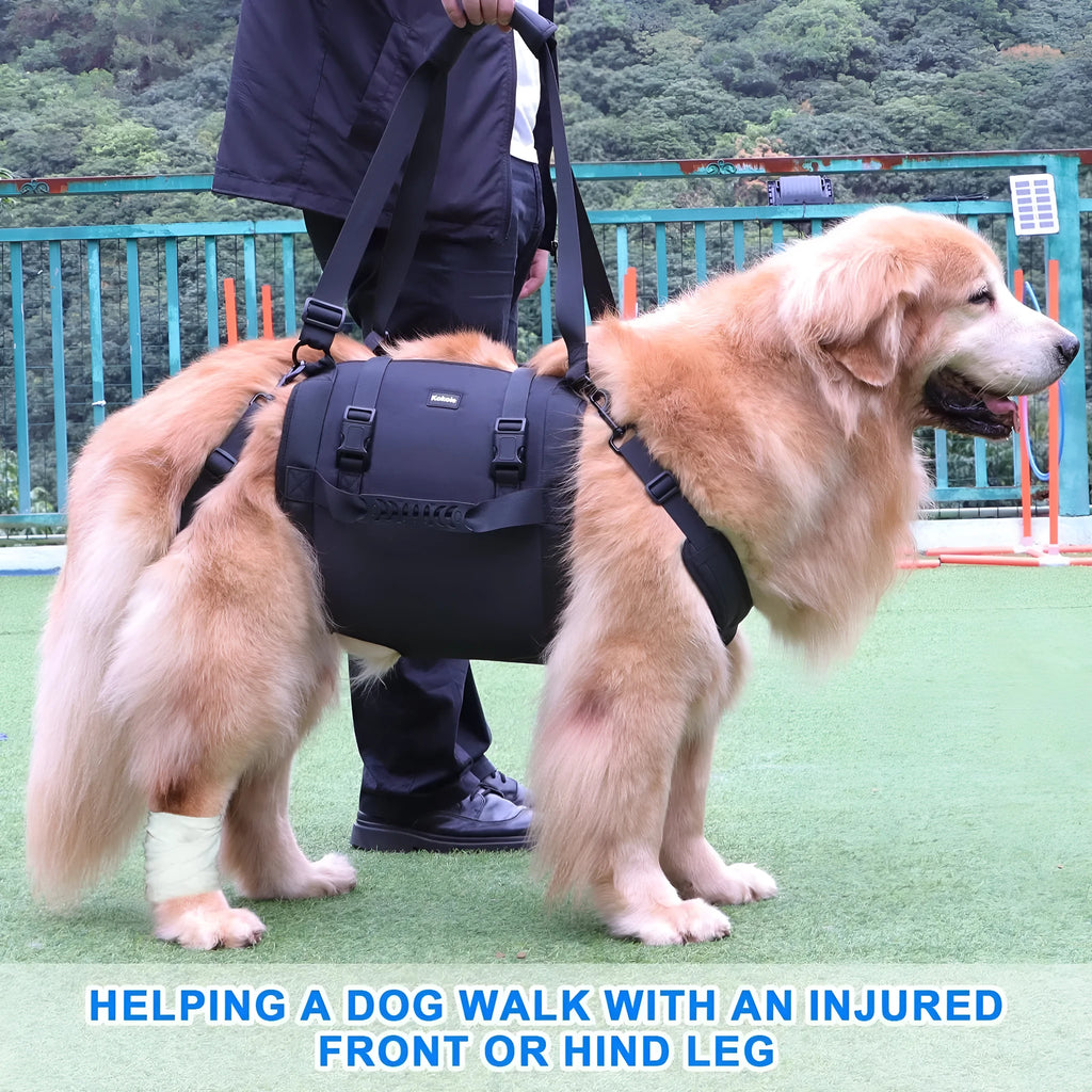 Black oxford cloth dog harness with chest strap and leg support for rehabilitation