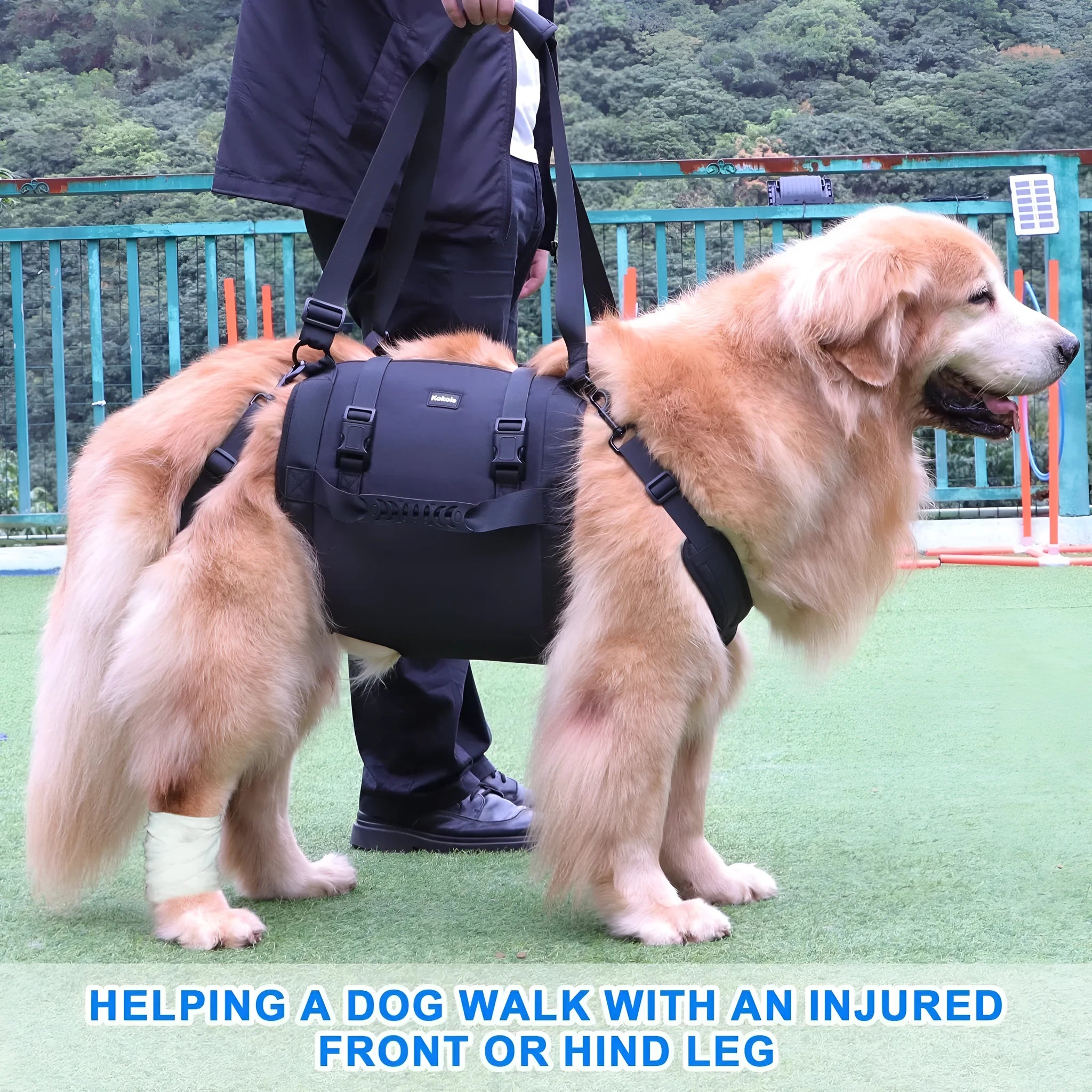 Black oxford cloth dog harness with chest strap and leg support for rehabilitation