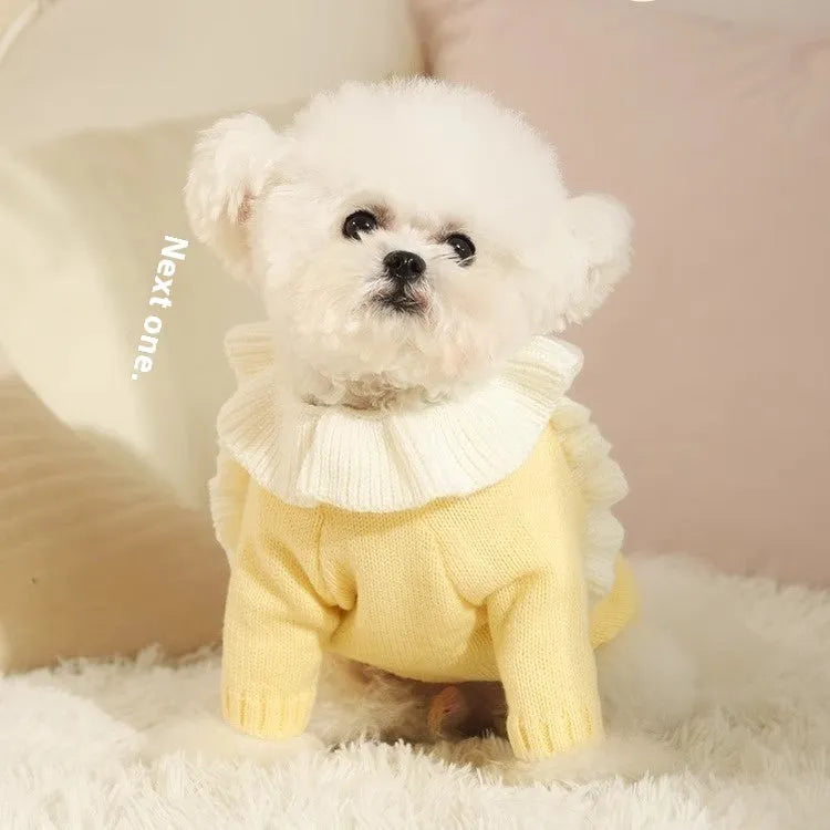 Yellow XINGX style dog sweater on small breed dog showing chest measurement and acrylic fabric
