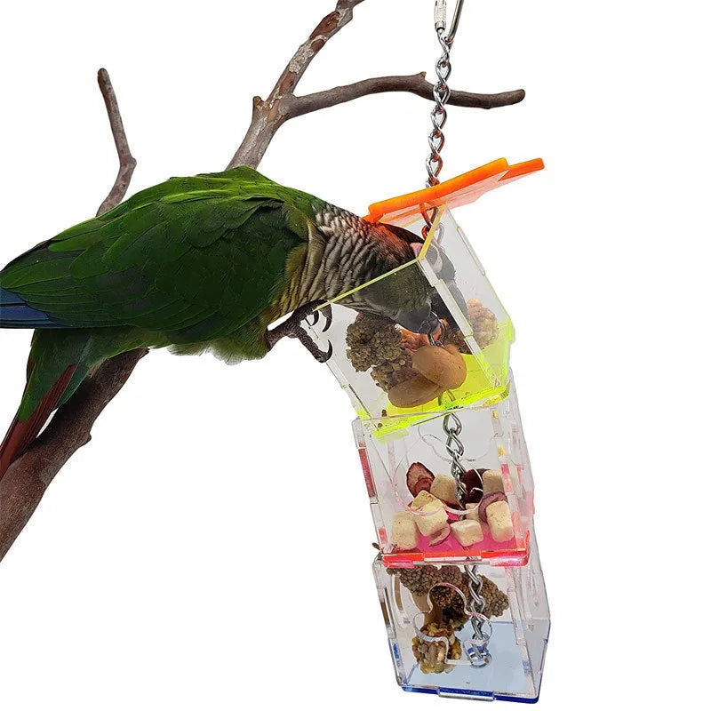 Clear acrylic parrot foraging toy, 32 cm tall food container for bird enrichment.