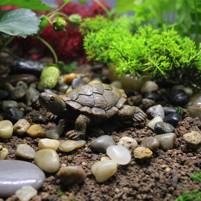 Resin simulation turtle garden decoration ornament with realistic colouration
