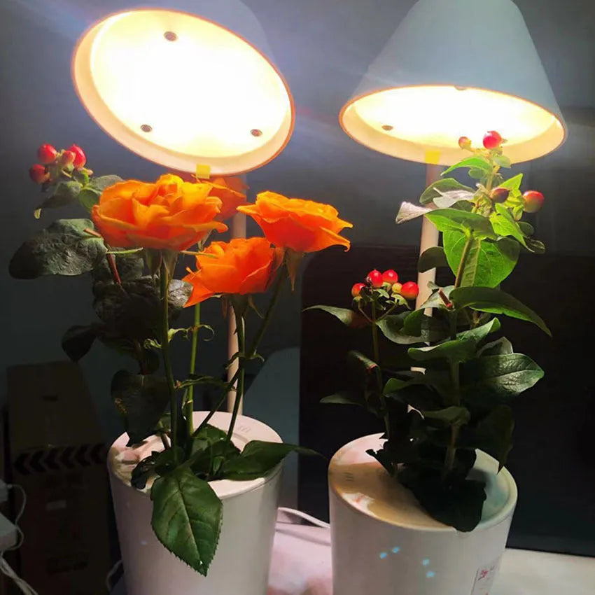 White plastic desktop hydroponic growing container for soilless indoor plant cultivation