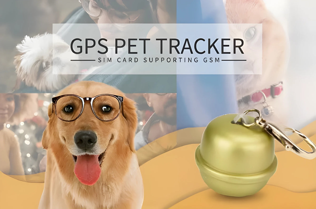 Black GPS dog collar tracker unit attached to an adjustable nylon strap on a dog's neck.