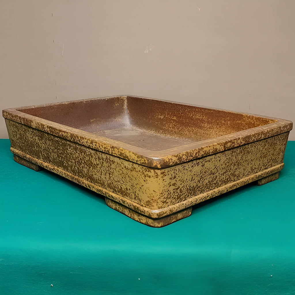 Straight-sided shallow rectangular Yixing Zisha purple sand flowerpot for plants.