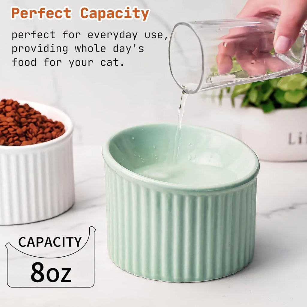 Ceramic raised cat bowl in light green colour showing its elevated, tilted round shape.