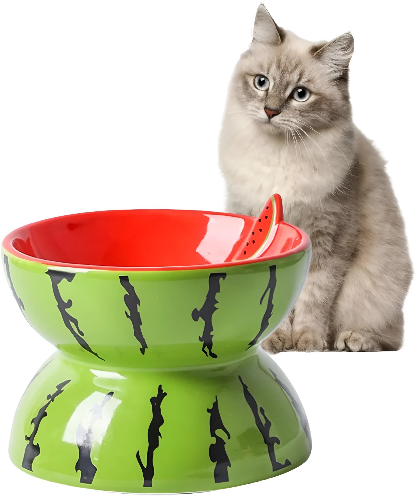 Ceramic elevated cat bowl in orange, pitaya, or watermelon pattern with a tilted, wide design.