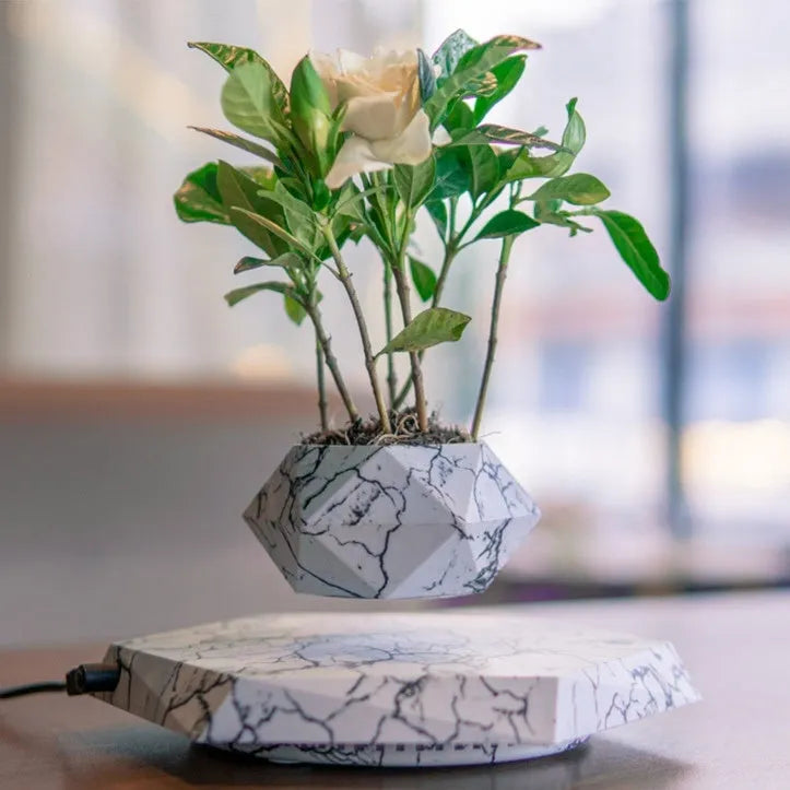 Marble-coloured magnetic levitating plant pot floating above surface with small plant