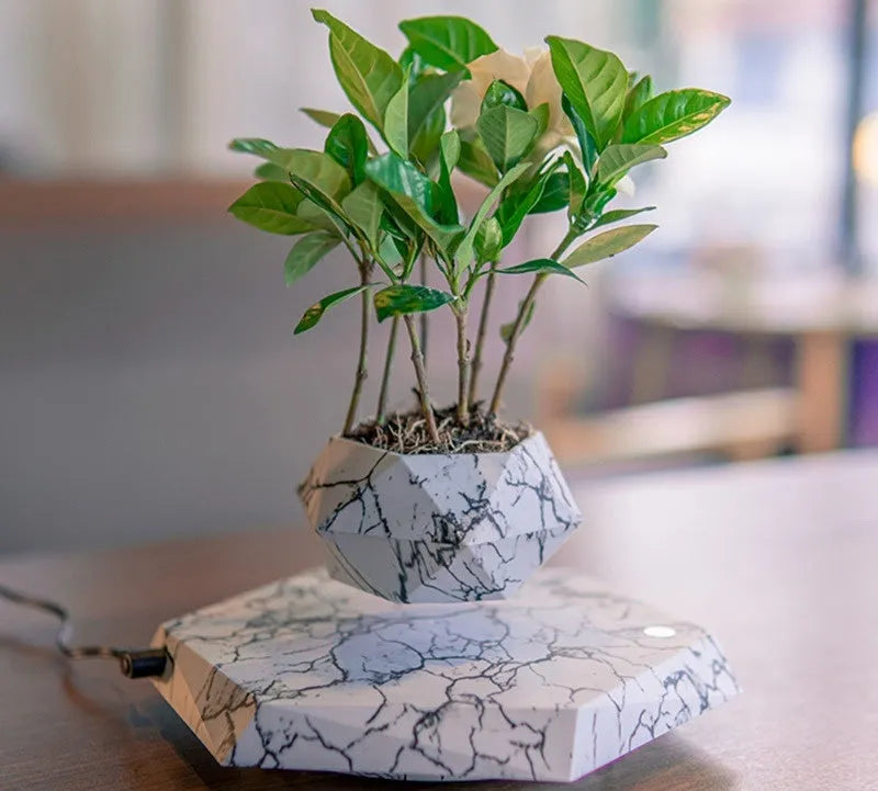 Marble-coloured magnetic levitating plant pot floating above surface with small plant