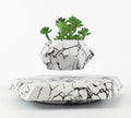 Marble-coloured magnetic levitating plant pot floating above surface with small plant