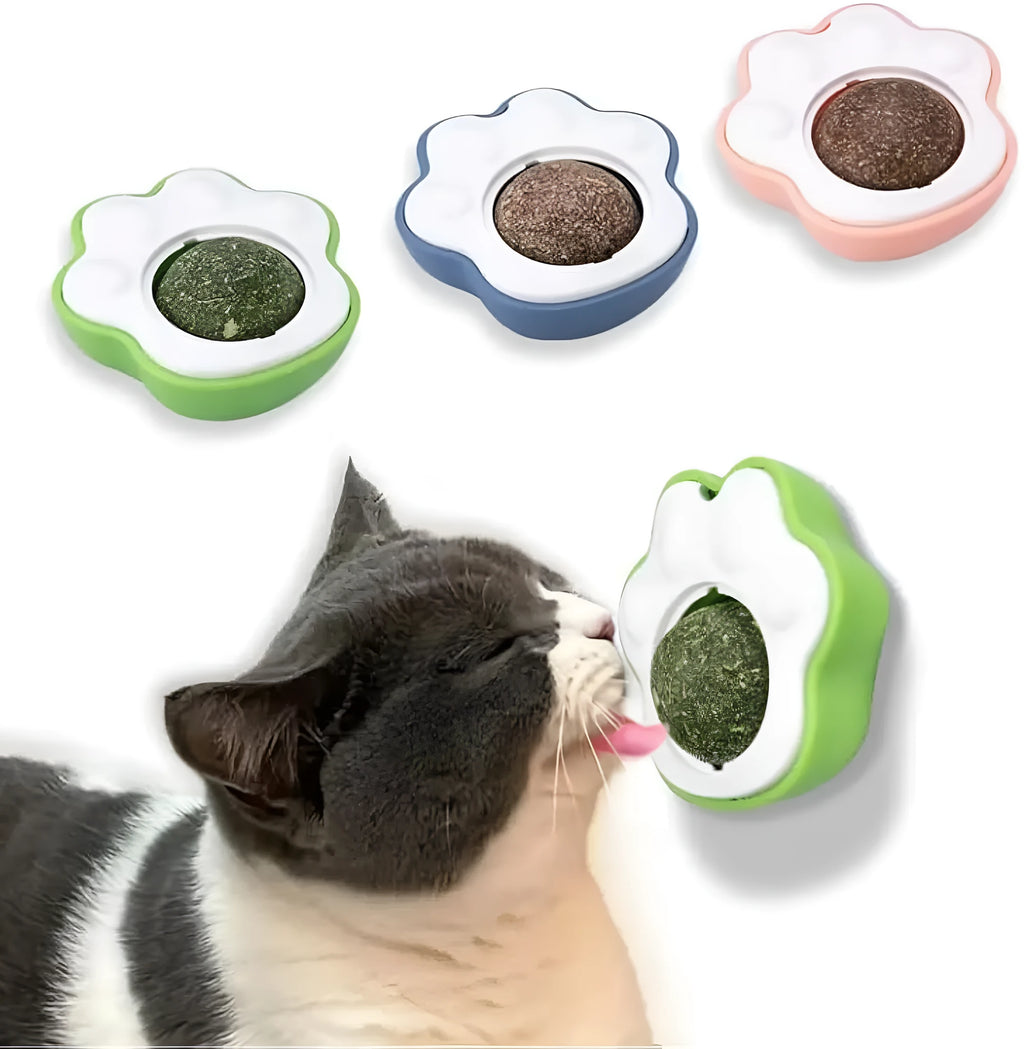 Blue plush catnip mouse toy for interactive play and dental health.