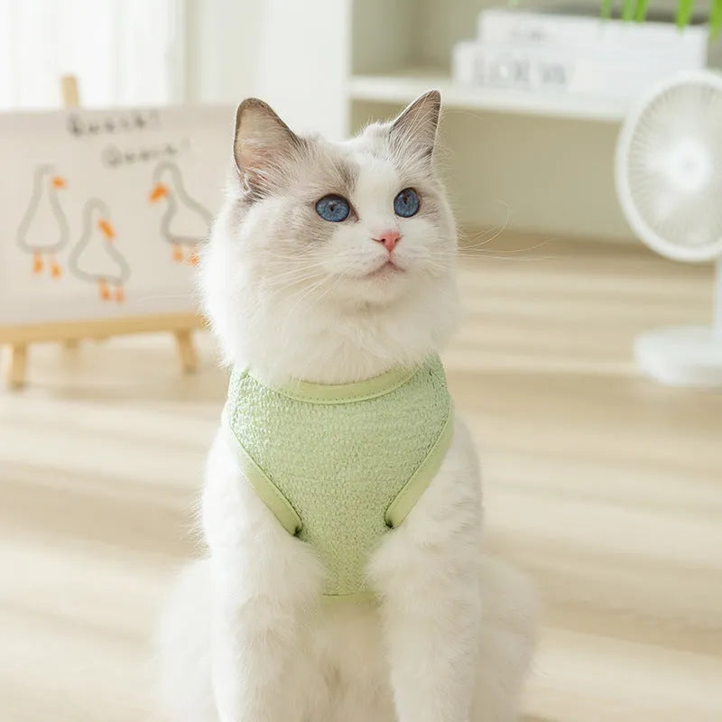 Blue knitted cat clothing with hollowed-out sections and a cartoon bear patch on the front.