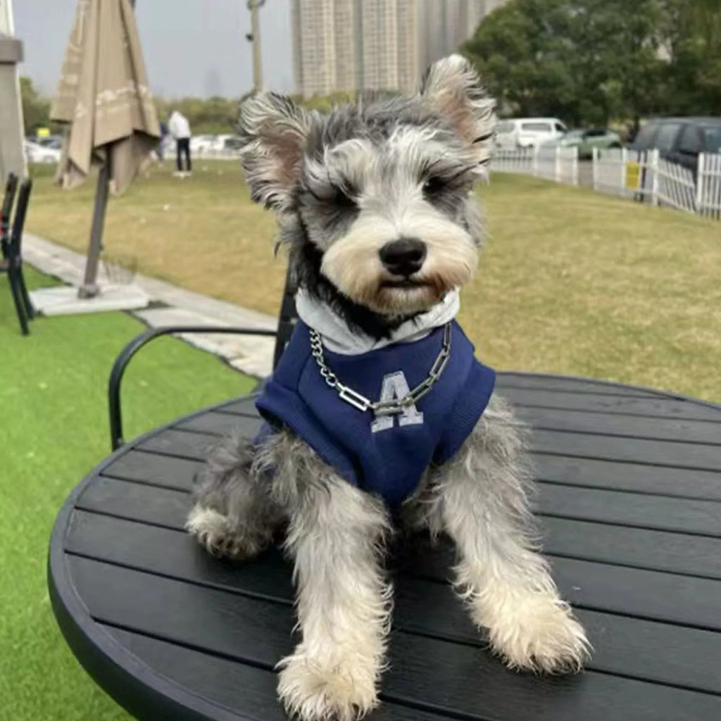 Blue pet hoodie with reflective white letters on a dog, showing slim fit design