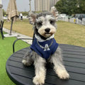 Blue pet hoodie with reflective white letters on a dog, showing slim fit design