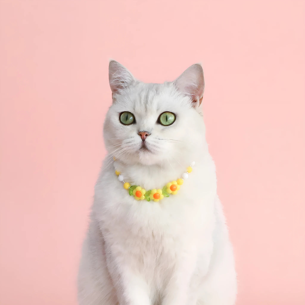 Colourful plastic bead pet necklace with adjustable sizing for small cats and dogs