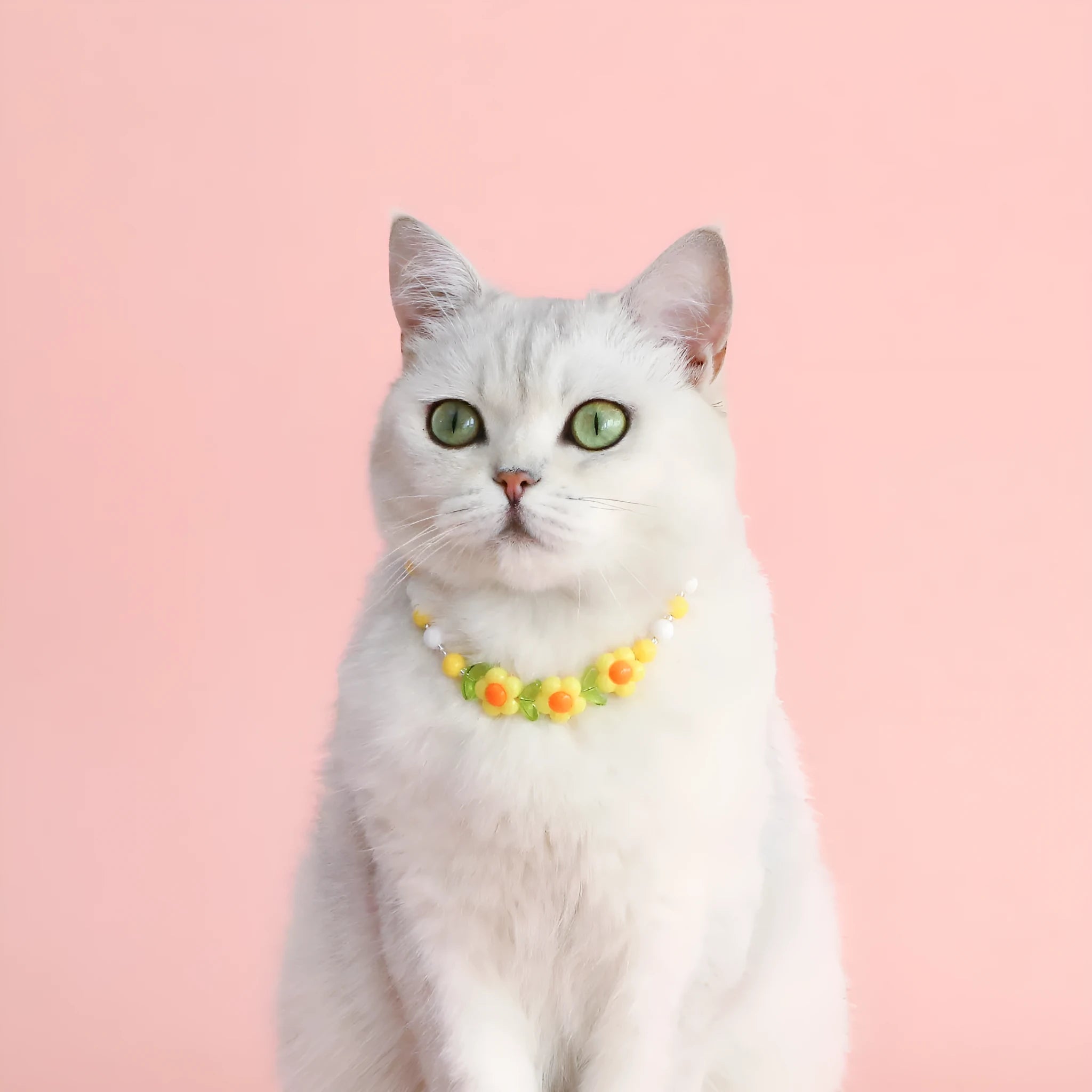 Colourful plastic bead pet necklace with adjustable sizing for small cats and dogs
