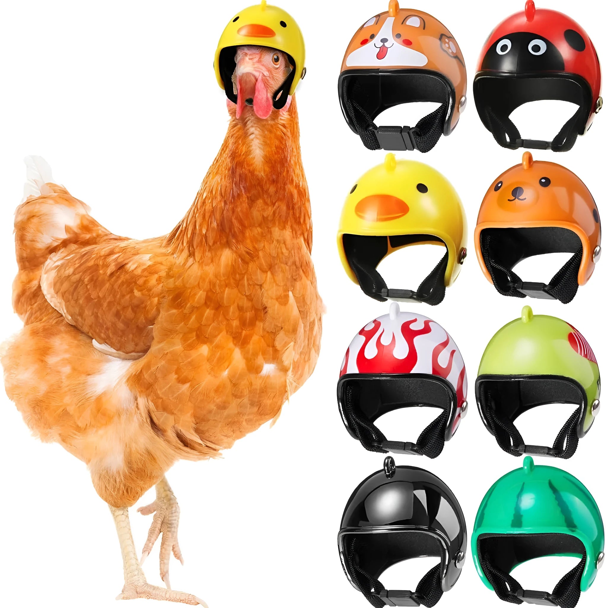 Small hard plastic helmet for chicken or bird with elastic straps and sponge lining.