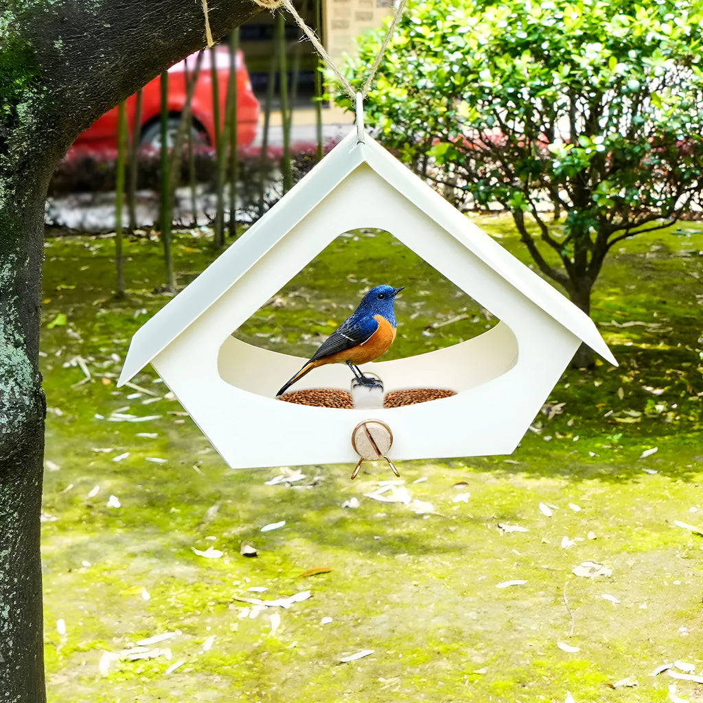 European-style simple iron bird nest with anti-rain design for outdoor courtyard decoration