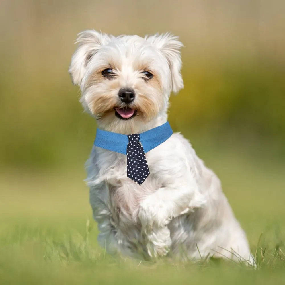 Denim dog collar with star pattern necktie for weddings and formal events