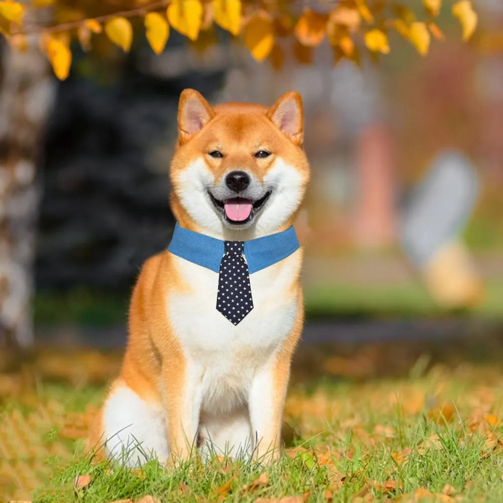 Denim dog collar with star pattern necktie for weddings and formal events