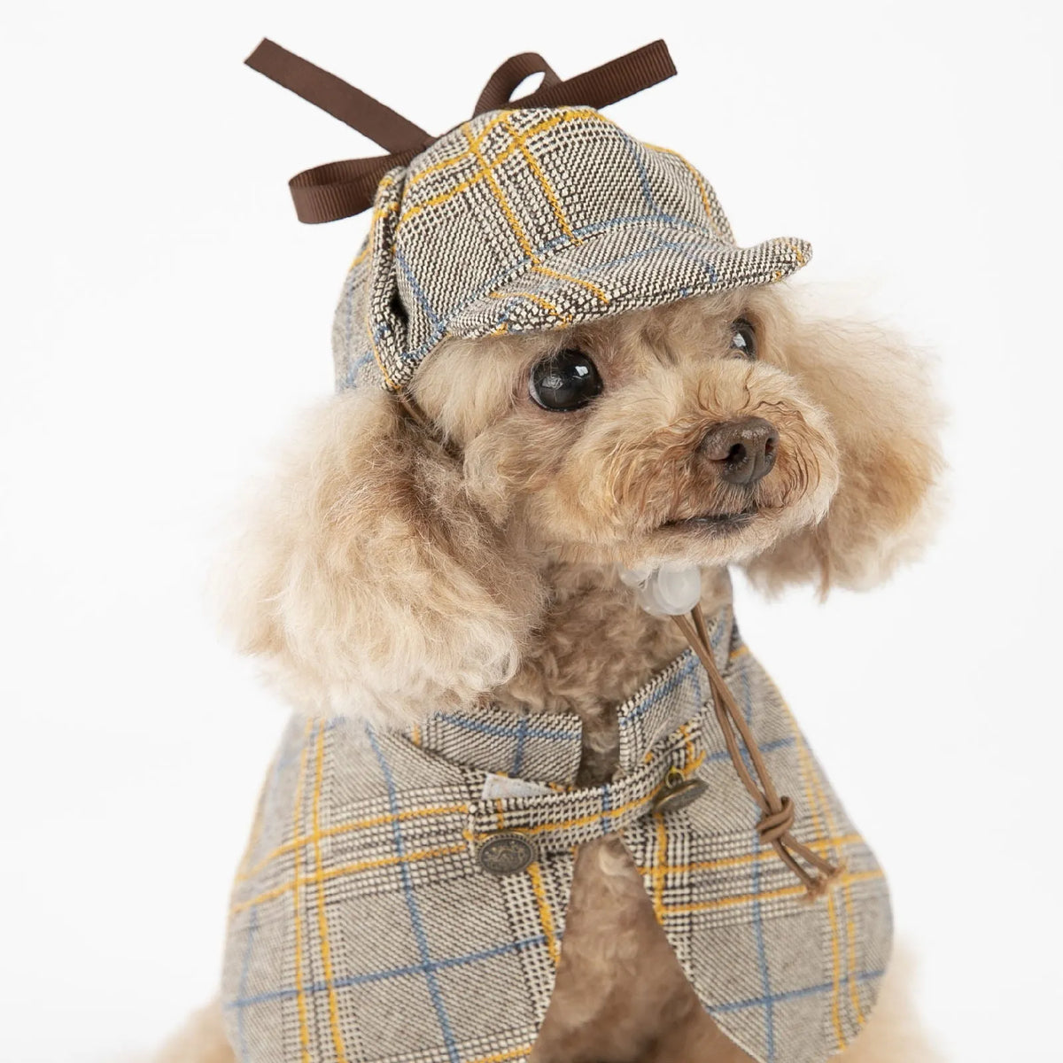 Camel coloured cotton pet cloak with adjustable hood shown on dog model