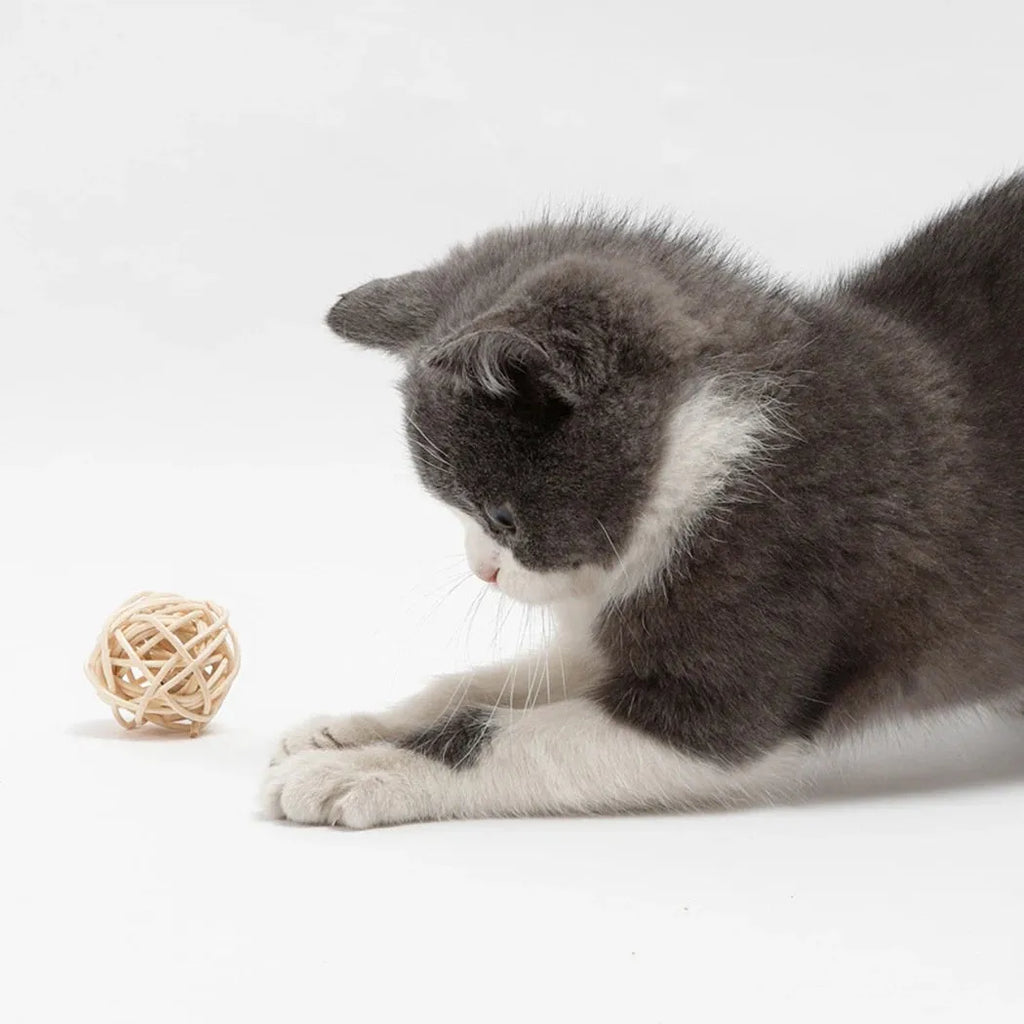 Two cat toys: rattan ball with bell and faux feather ball for interactive feline play