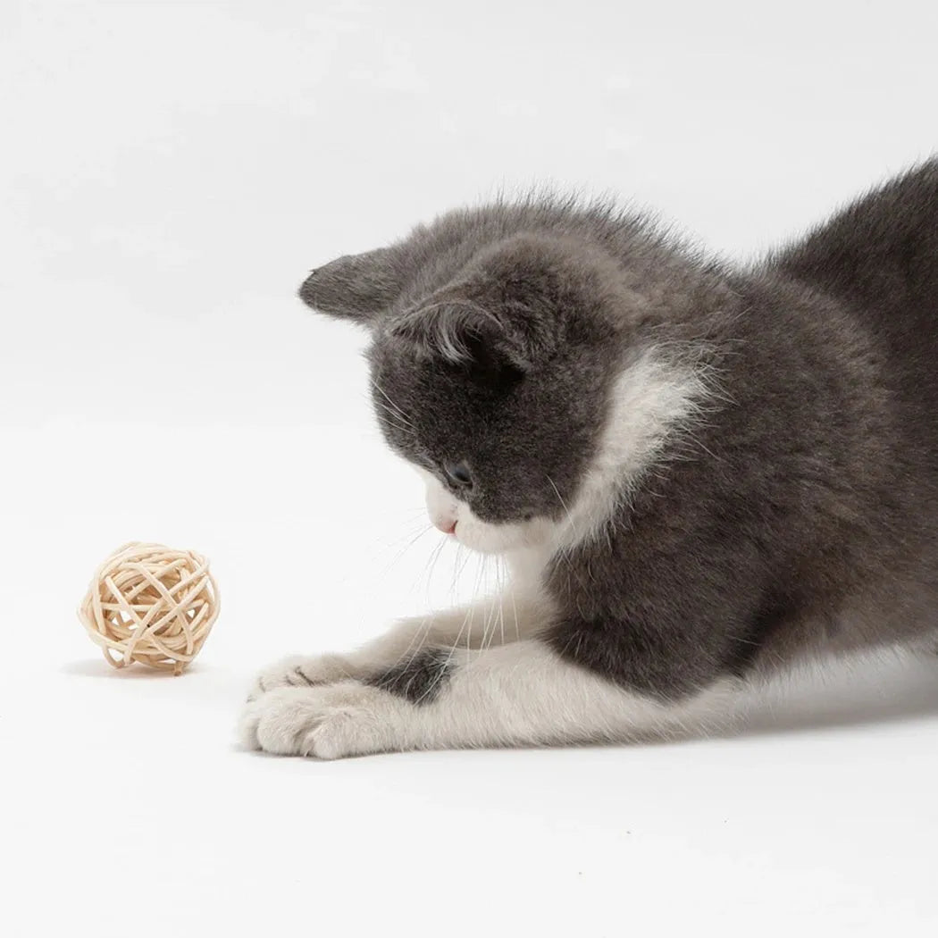 Two cat toys: rattan ball with bell and faux feather ball for interactive feline play