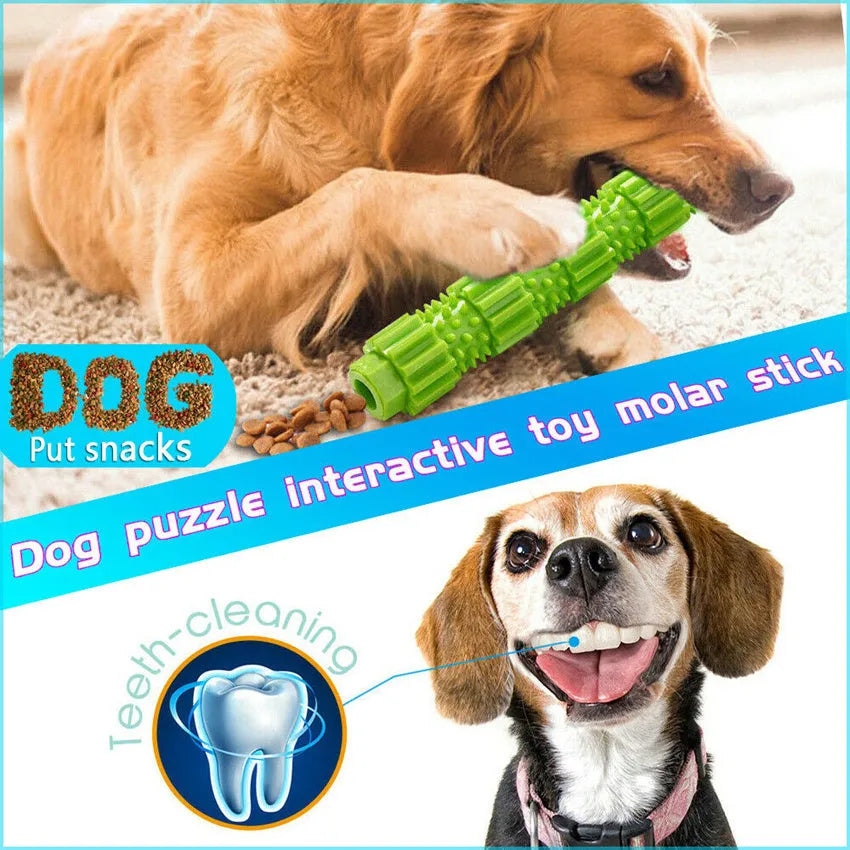 Green natural rubber dog chew toy with hollow centre for treat dispensing and teeth cleaning