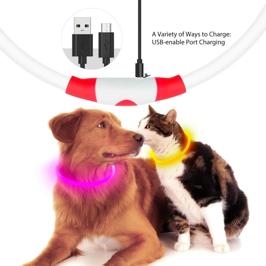 USB rechargeable LED dog safety collar showing blue illuminated band with adjustable 70cm length