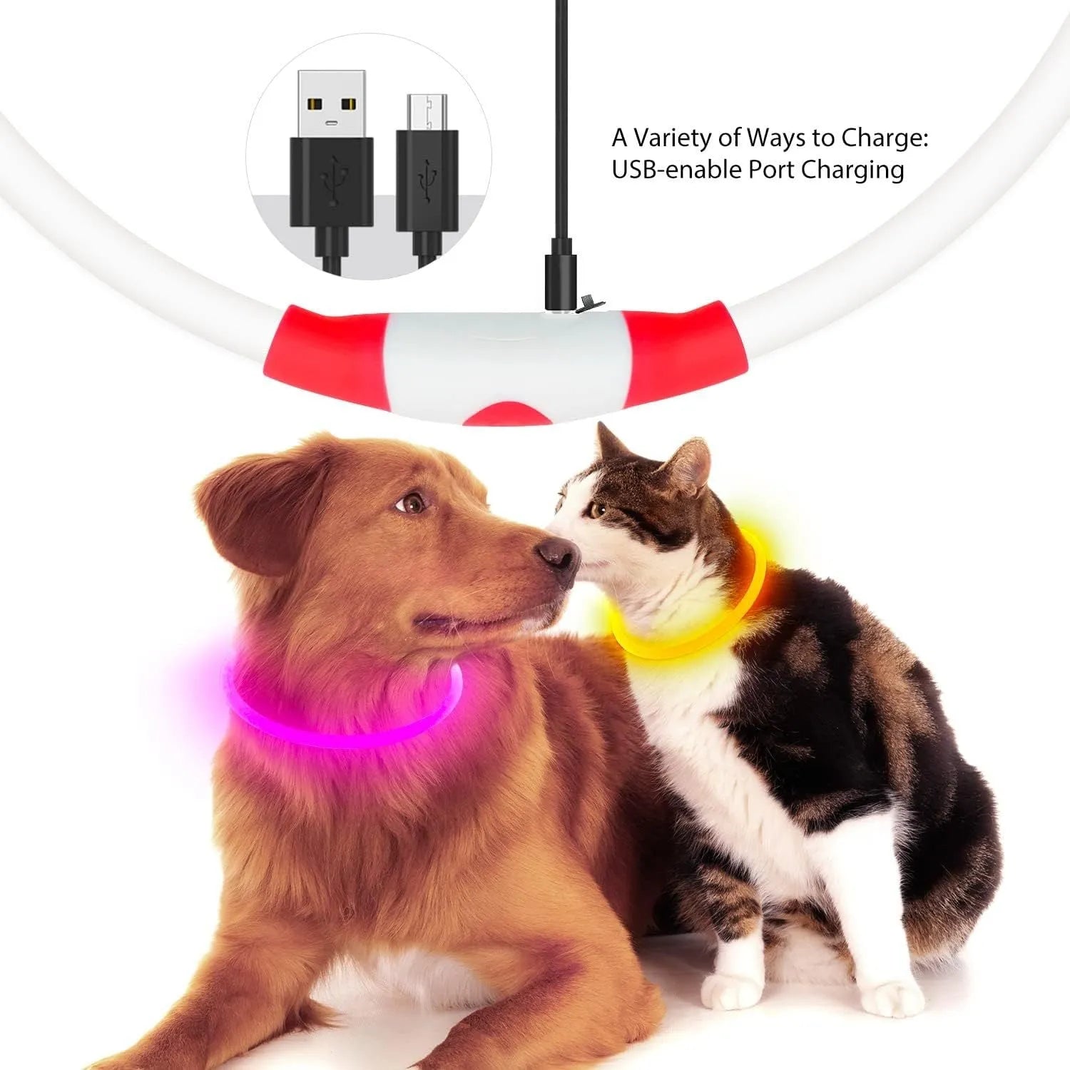 USB rechargeable LED dog safety collar showing blue illuminated band with adjustable 70cm length