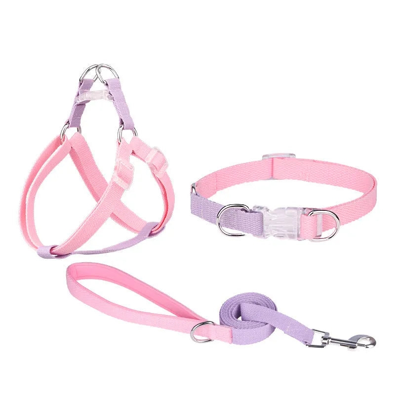 Polyester rib dog collar and lead set in multicolour combination with adjustable sizing