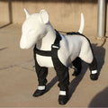 Black waterproof non-slip dog shoes in polyester material showing paw protection design