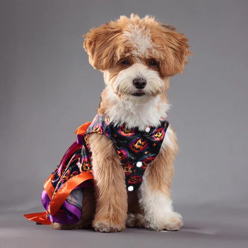 Halloween dog skirt costume with colourful pumpkin and skull prints on double-layer polyester fabric