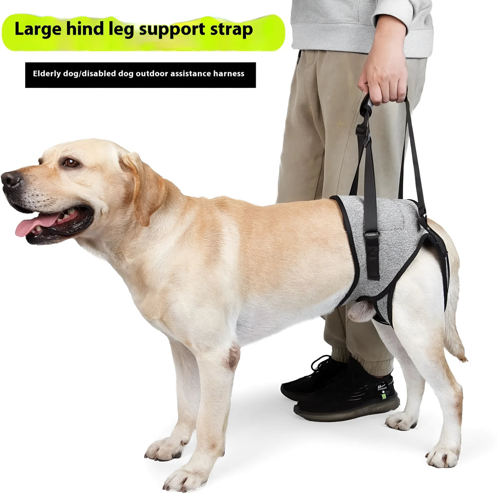 Grey neoprene dog recovery belt for hind leg support, L size adjustable fit