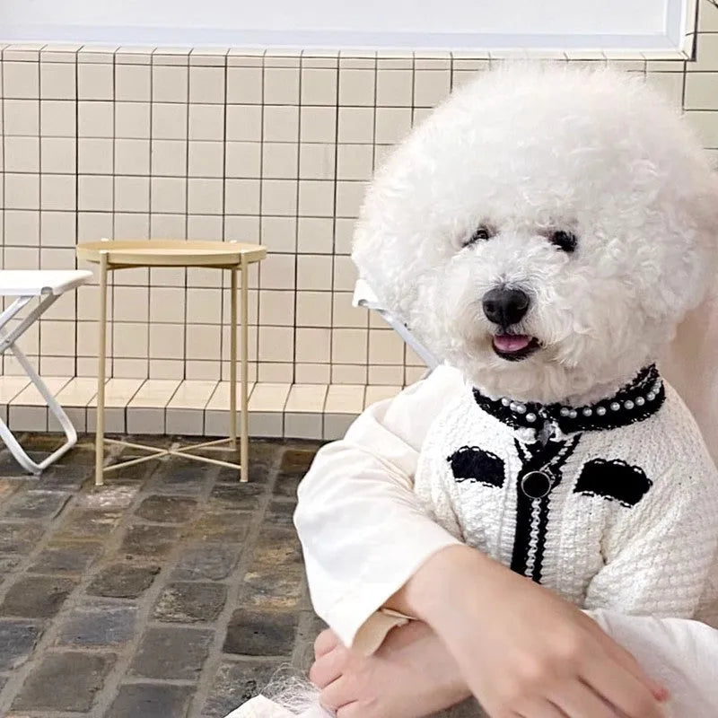 Korean style white puppy sweater with pearl collar detail on small dog