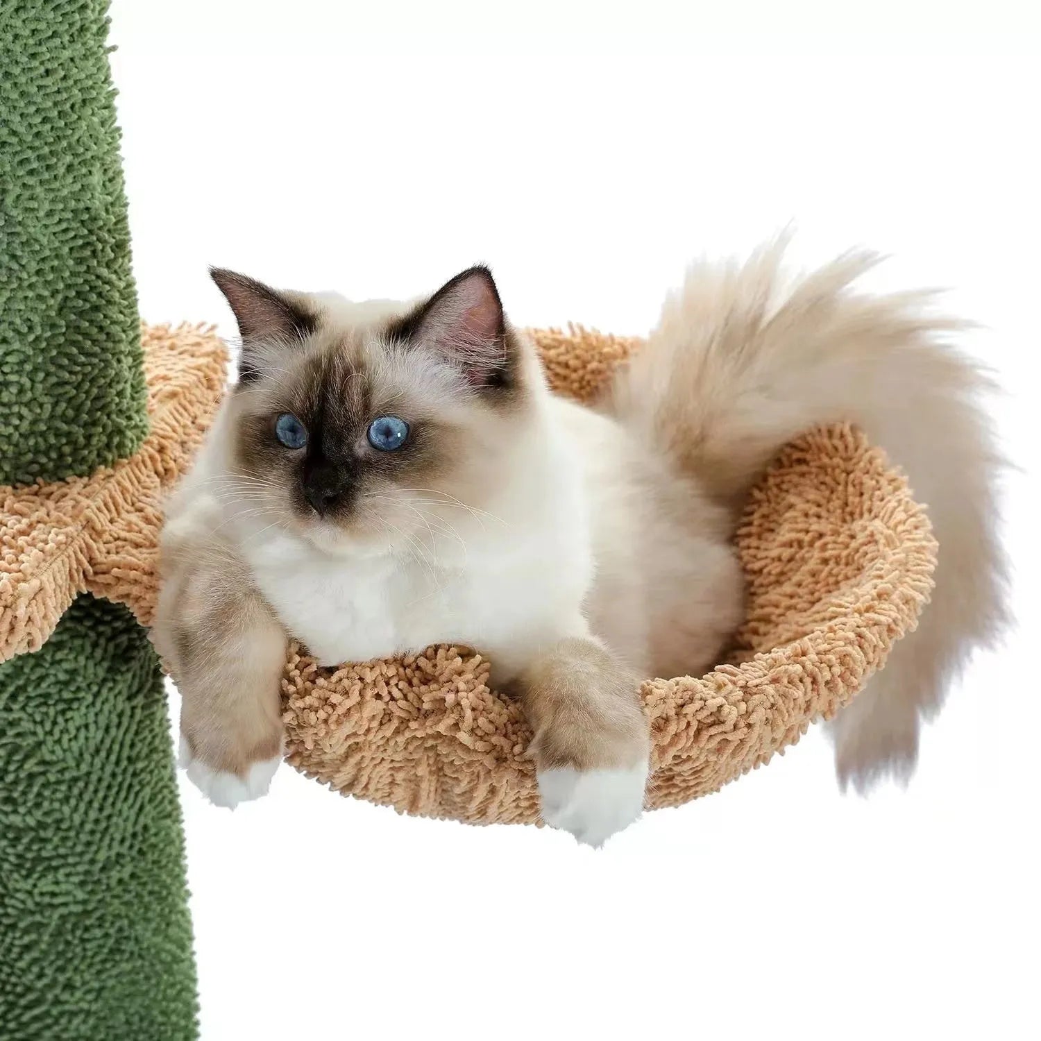 Cactus solid wood cat tree climbing frame with integrated scratch board measuring TT40x25x240cm