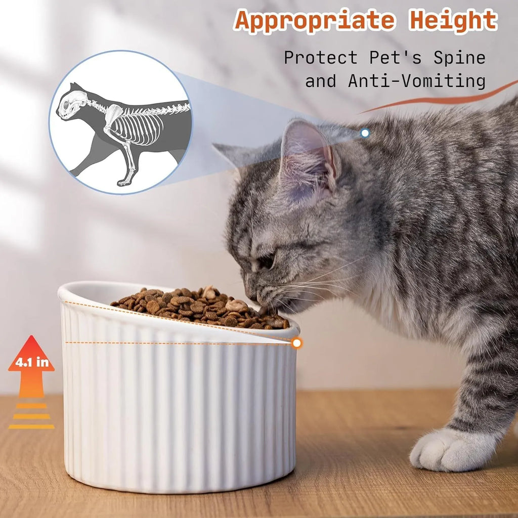 Ceramic raised cat bowl in light green colour showing its elevated, tilted round shape.